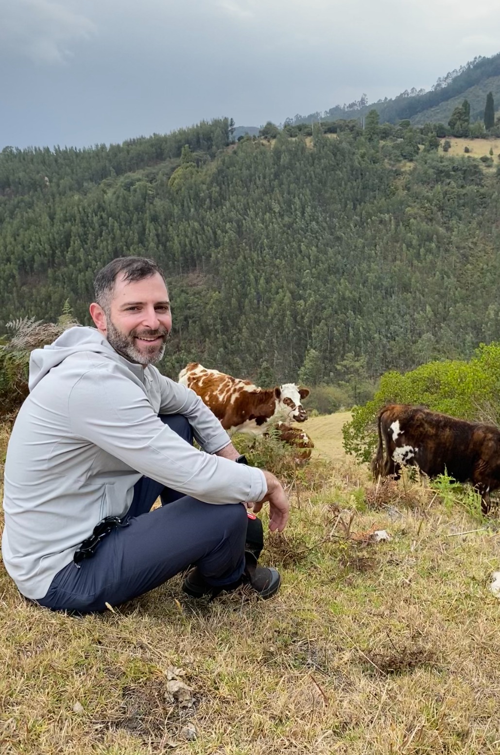 Sitting on a hillside with cows in the Andes mountains