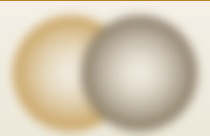 Two soft overlapping circles suggesting the space between holding and fixing